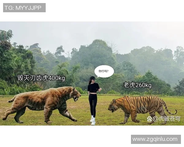 人类与老虎的生死对决探讨人与自然的和谐共生之道
